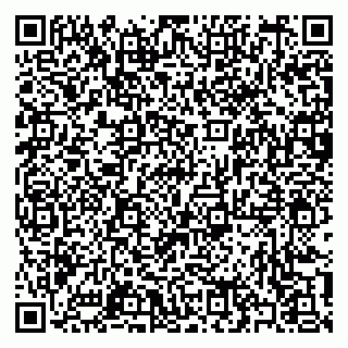 vCard 79397102133