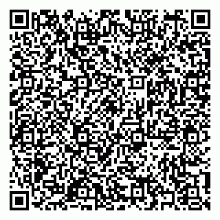 vCard 79397102384