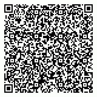 vCard 79397102413