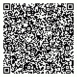 vCard 79397102729