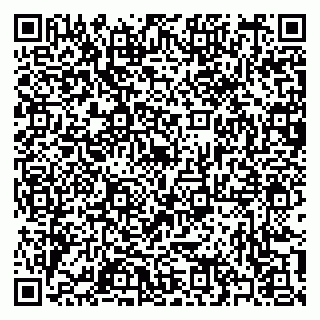 vCard 79397102733