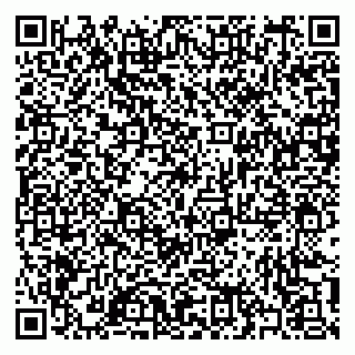 vCard 79397102913