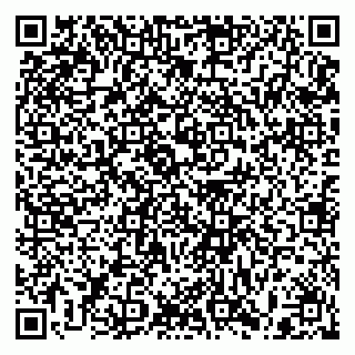 vCard 79397103142