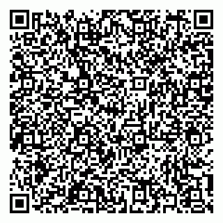 vCard 79397103151
