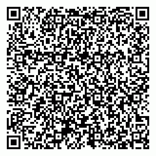 vCard 79397103181