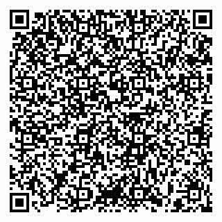 vCard 79397103193