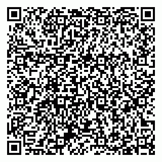 vCard 79397103253
