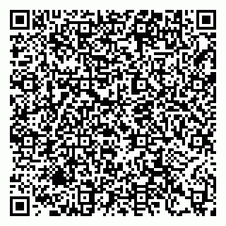 vCard 79397103260