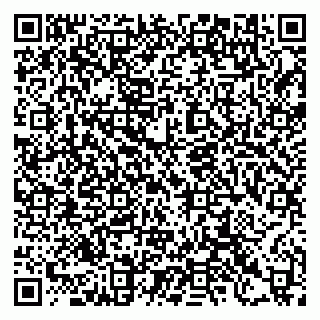 vCard 79397103293