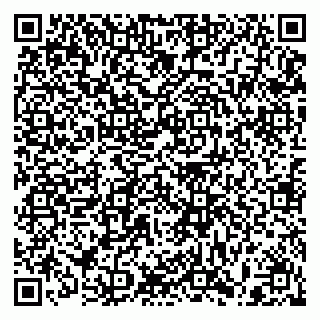 vCard 79397103295