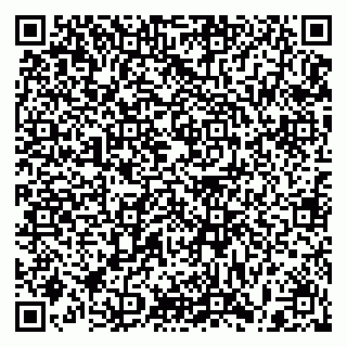 vCard 79397103296