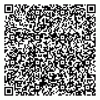 vCard 79397103299