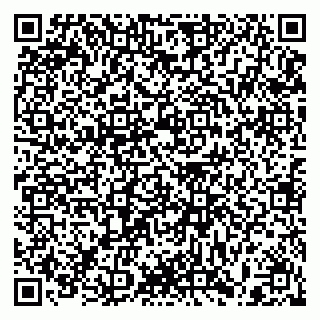 vCard 79397103311