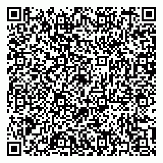 vCard 79397103313