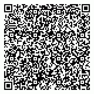 vCard 79397103317