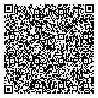 vCard 79397103319