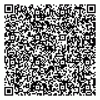vCard 79397103333
