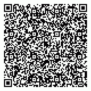 vCard 79397103381