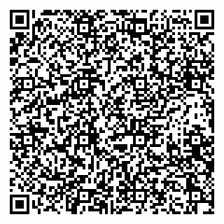 vCard 79397103389