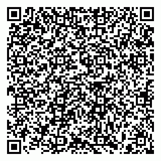 vCard 79397103529