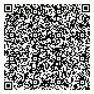 vCard 79397103533