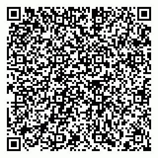 vCard 79397103537