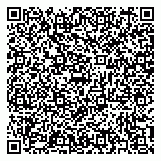 vCard 79397103809