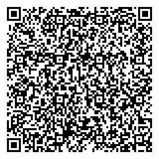 vCard 79397103817