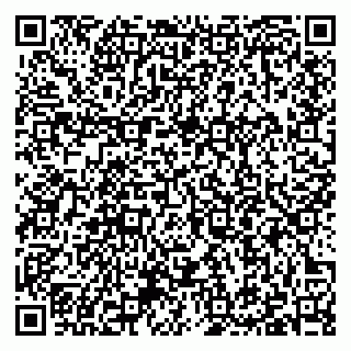 vCard 79397104299