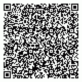 vCard 79397105095