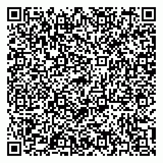 vCard 79397105109