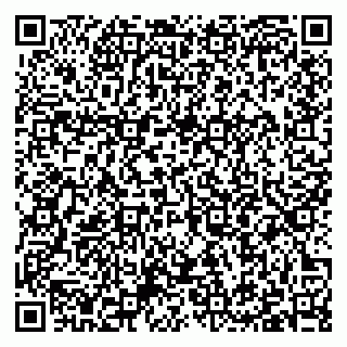 vCard 79397105111