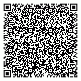 vCard 79397105217