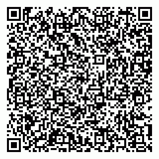vCard 79397105313