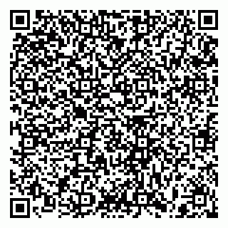 vCard 79397105314