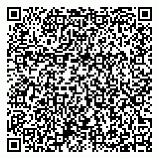vCard 79397105323
