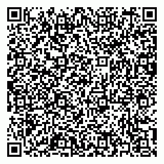 vCard 79397105331