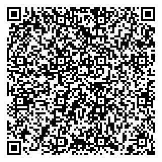 vCard 79397105881