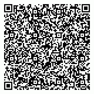 vCard 79397106009