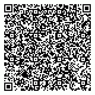 vCard 79397106033
