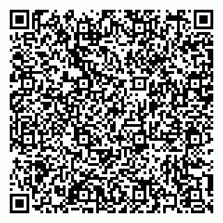 vCard 79397106107