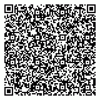 vCard 79397106109