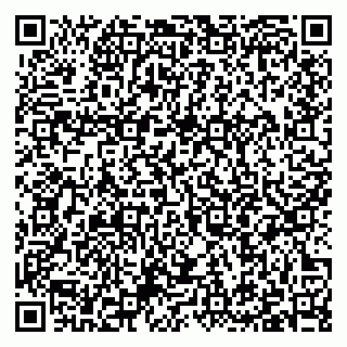 vCard 79397106211