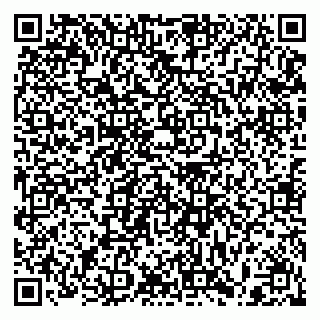 vCard 79397107008