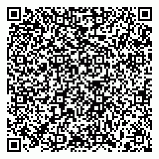 vCard 79397107203
