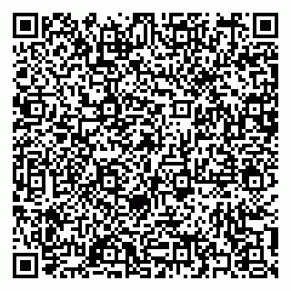 vCard 79397108110