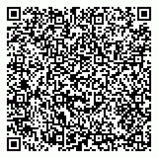 vCard 79397108733
