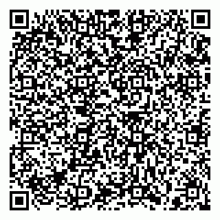 vCard 79397109087
