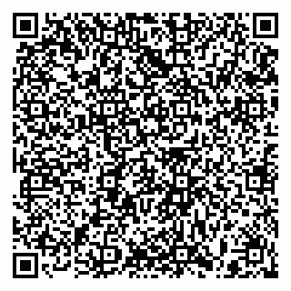 vCard 79397109381
