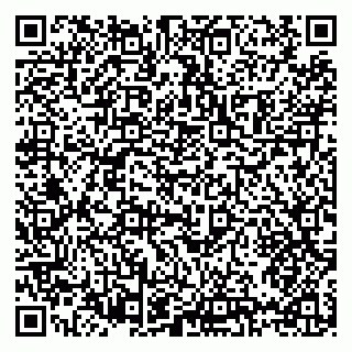 vCard 79397109731